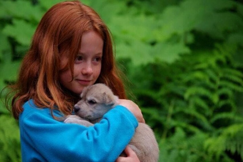 Pet The Puppies 2
