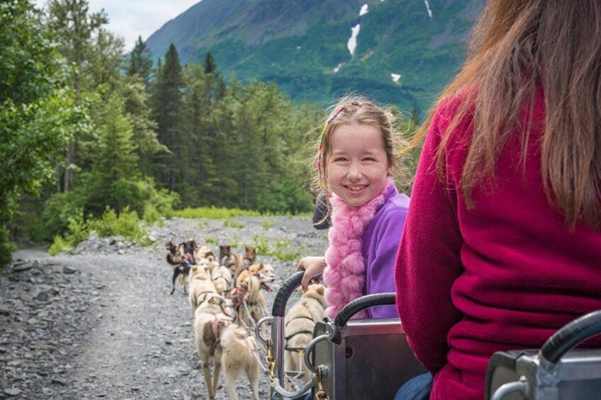Wilderness Dog Sled Ride and Tour in Seward 3