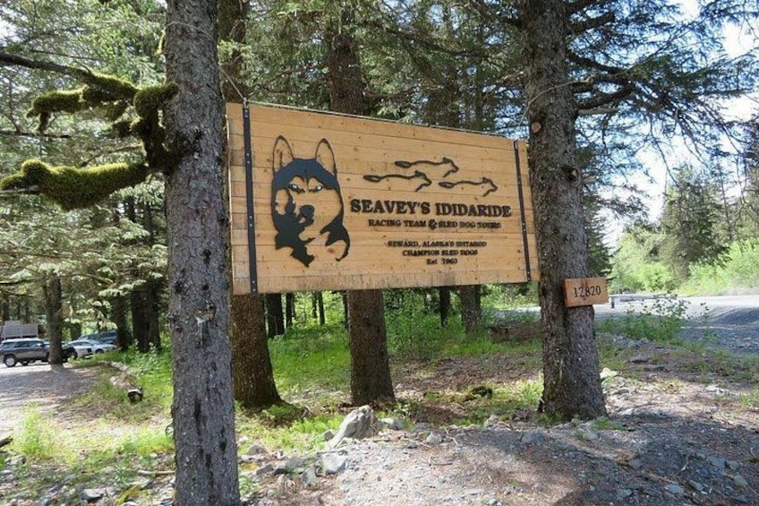 A wooden sign with a dog logo and text, surrounded by trees. 3