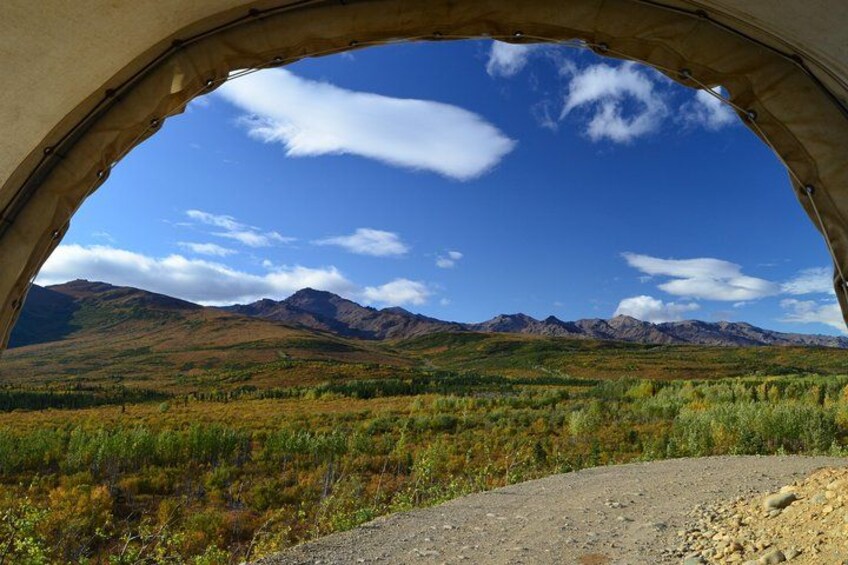 View from the Wagon 1
