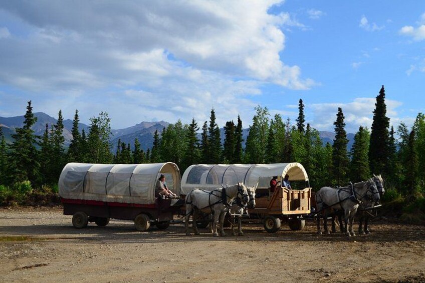 Horse-Drawn Covered Wagon Ride with Backcountry Dining 5