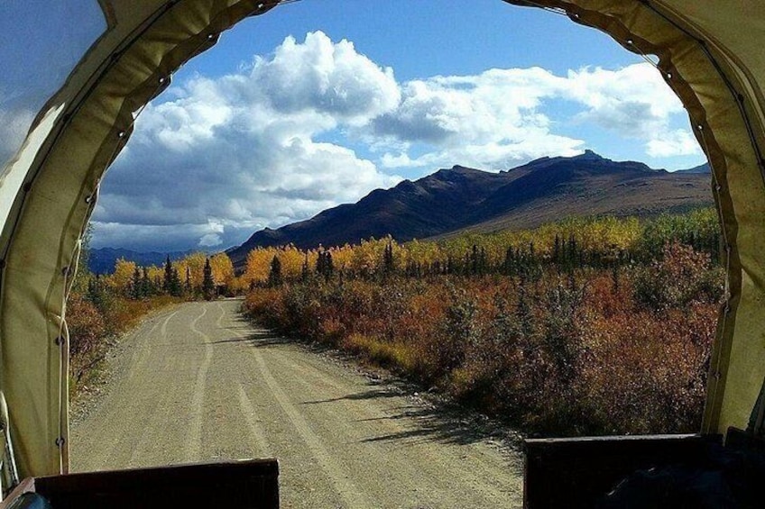 Horse-Drawn Covered Wagon Ride with Backcountry Dining 4