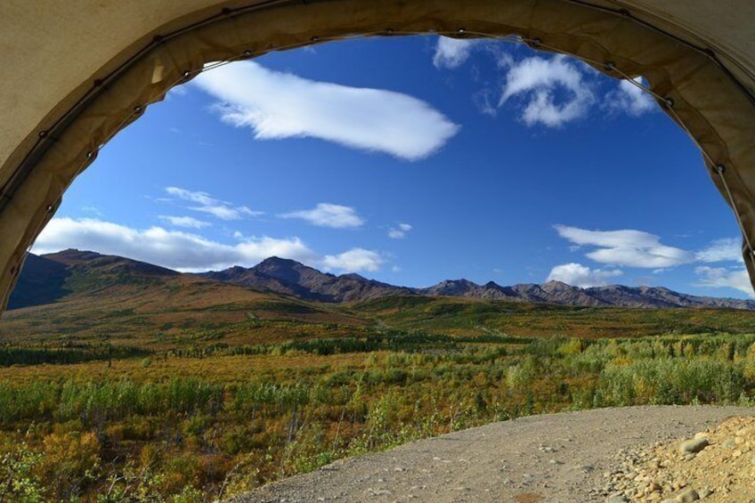 View from the Wagon 1