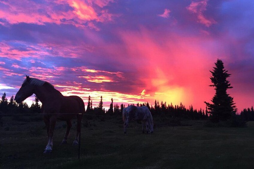 Enjoy a ride with an amazing Sunset in Alaska 2