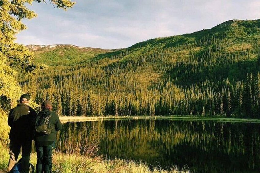 Denali Naturalist Walking Tour 2