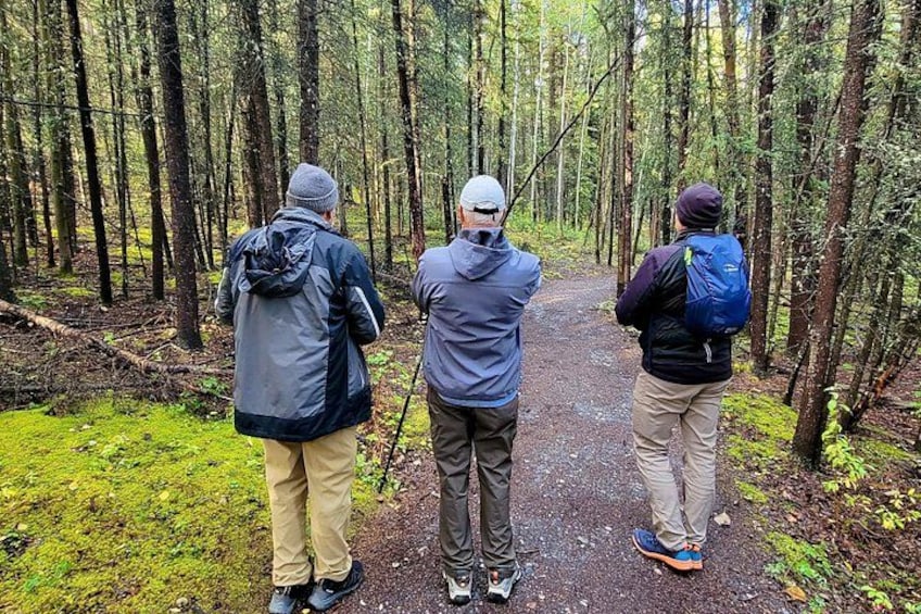Denali Naturalist Walking Tour 4