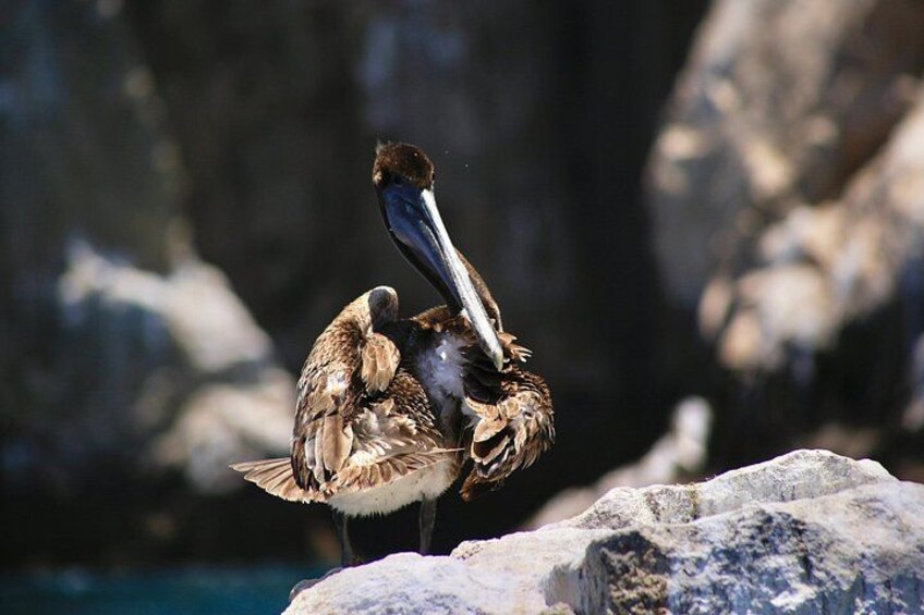 Private Catamaran Escape for 2–6 Guests: Celebrate Your Way 5