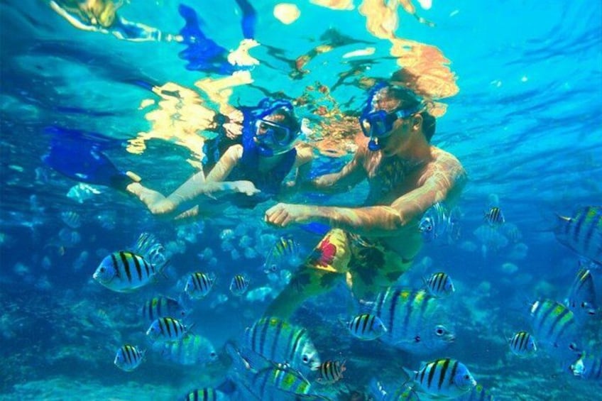 Una persona practica snorkel bajo el agua con peces tropicales. 1
