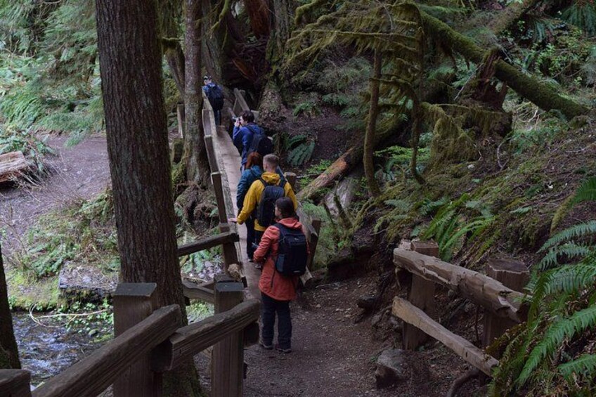 Scenic wooden bridge over the creek. 2