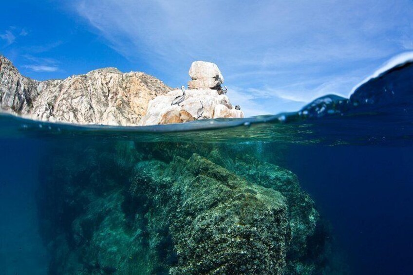 Cabo San Lucas Short Snorkeling Tour with Divemaster Guide 2