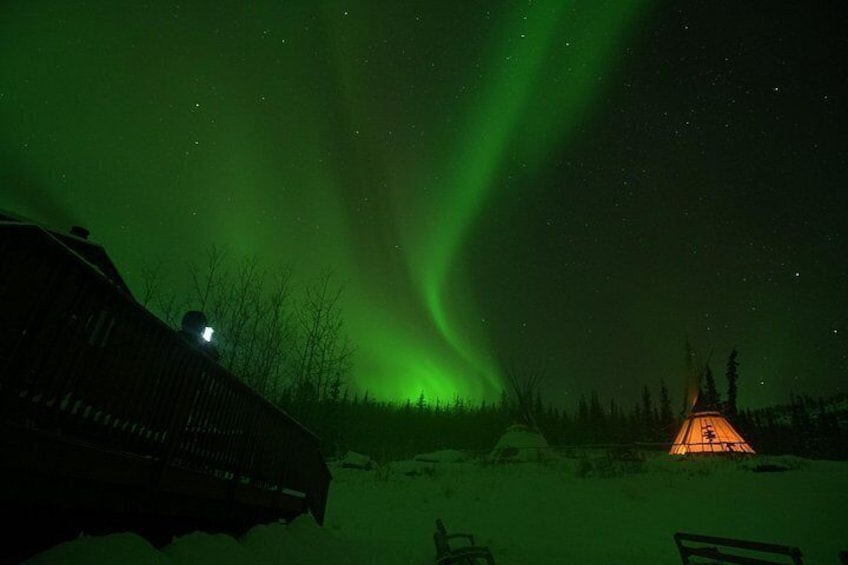 Arctic Day: Aurora Viewing Tour | late night 5