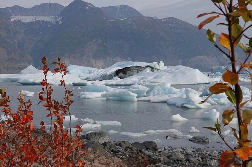 Un glaciar con icebergs en un paisaje montañoso. 5