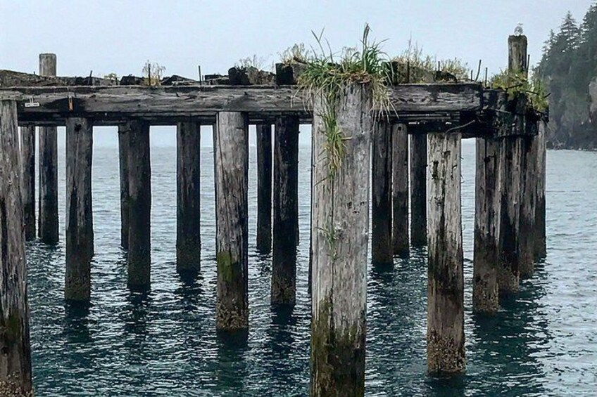 The dock at Caines Head 4