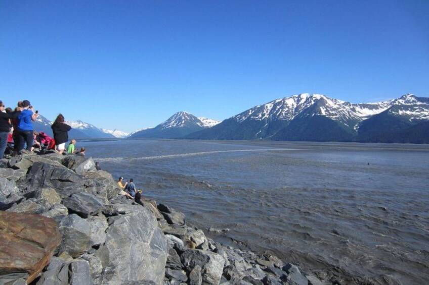 Un rivage rocheux où l’on voit des gens assis et debout, un lac paisible et, au loin, des montagnes aux sommets enneigés. 2