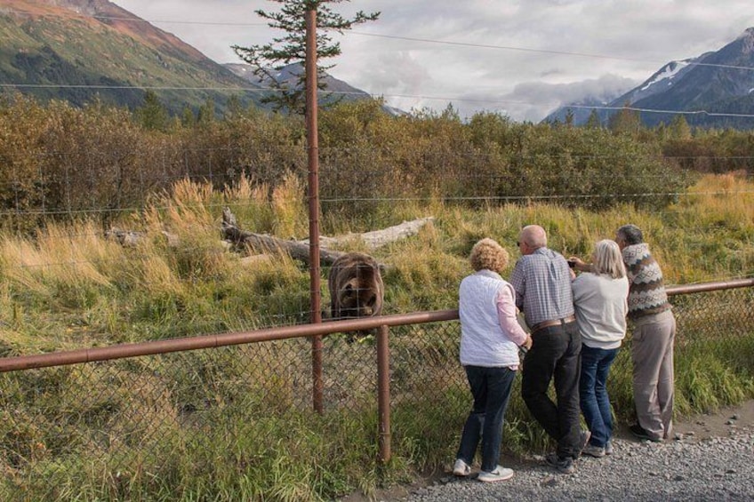 Guests get within a few feet of wildlife at the AWCC 2