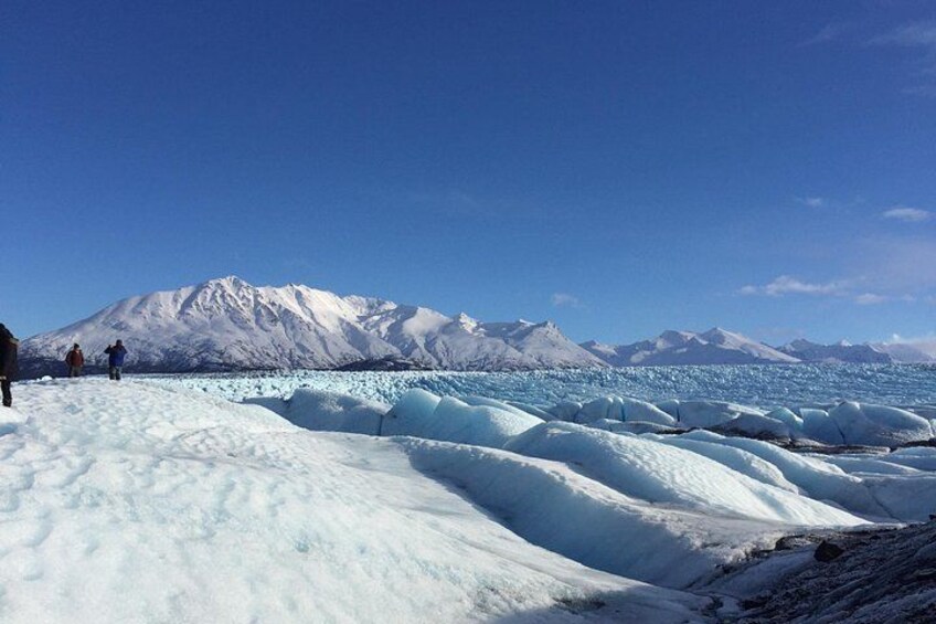 Alaska Helicopter Tour with Glacier Landing - 60 mins - ANCHORAGE AREA 5