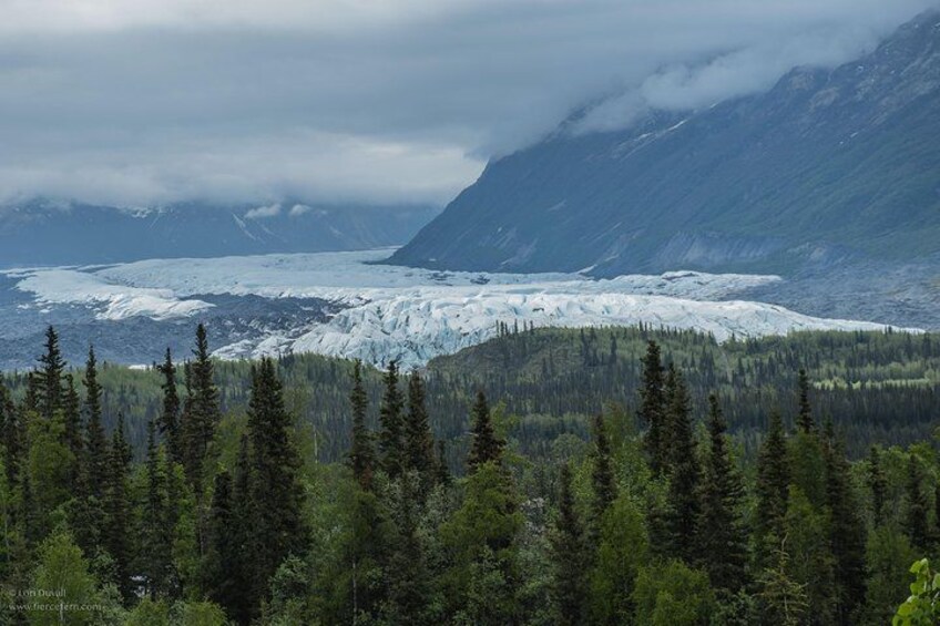 En glaciär omgiven av skogbeklädda berg. 4