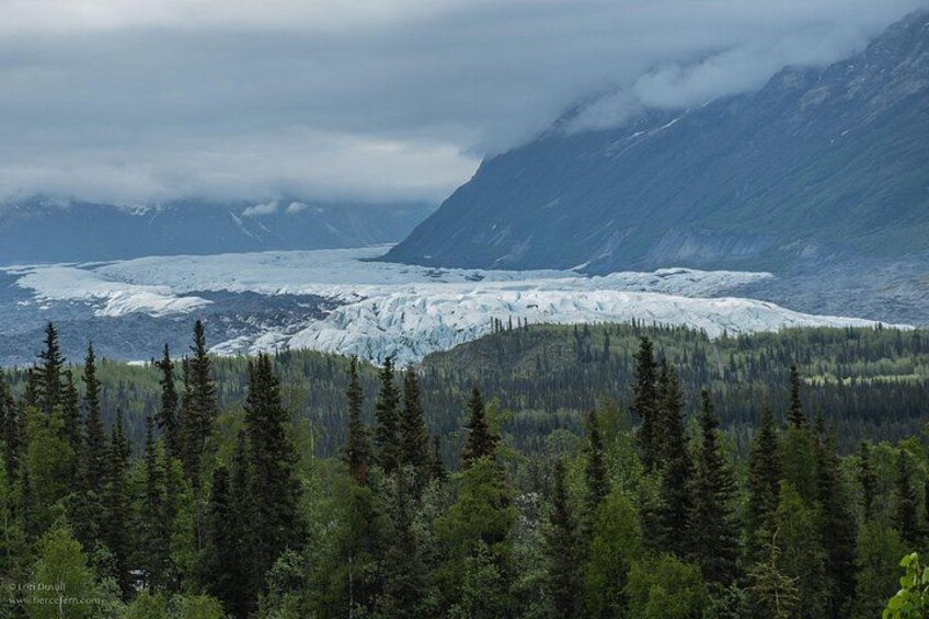 View of Matanuska Glacier from the Glenn Highway, Alaska 4