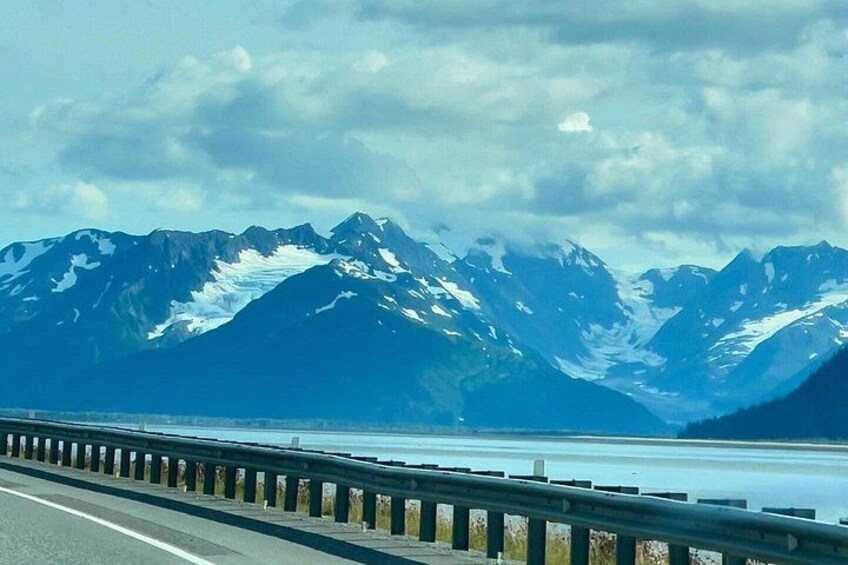 Alaska Wildlife Tour 3