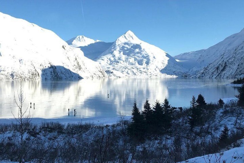 Winter - Wildlife & Turnagain Arm Tour