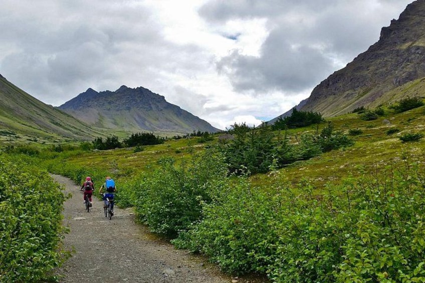 Un chemin de gravier où l’on aperçoit des cyclistes, entouré d’une végétation verdoyante et avec des montagnes en arrière-plan. 4
