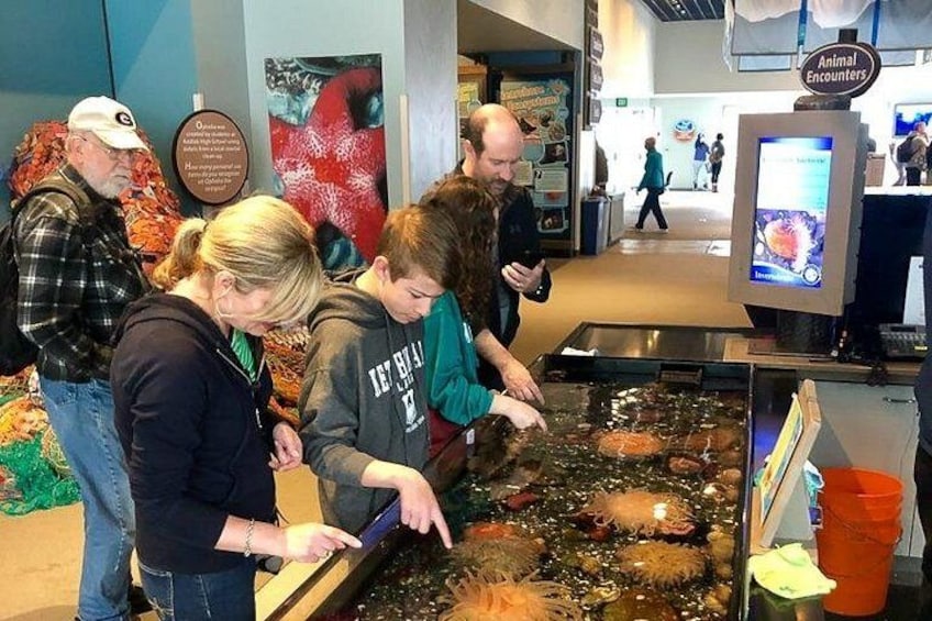 People observing a fish tank with various aquatic creatures. 3