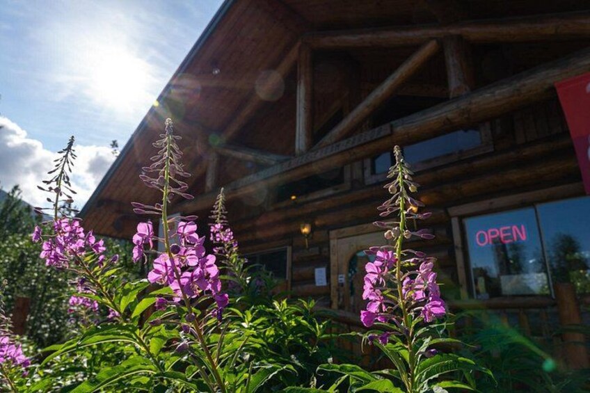 A wooden lodge with a sign that reads 'OPEN' and purple flowers in the foreground. 4