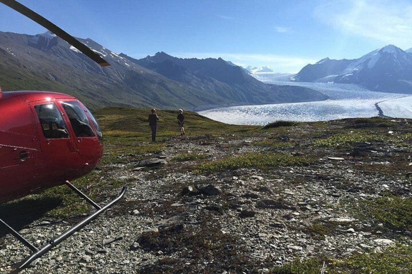 Heli Hiking Alpine Location 4