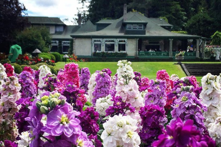 COMBO Victoria City Tour & Butchart Gardens & Entry Tix 5
