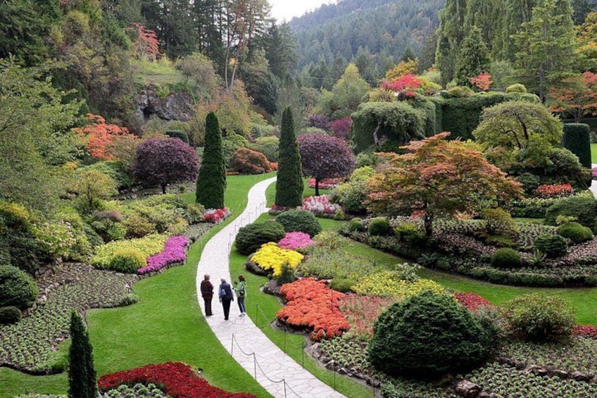 Sunken Garden 2