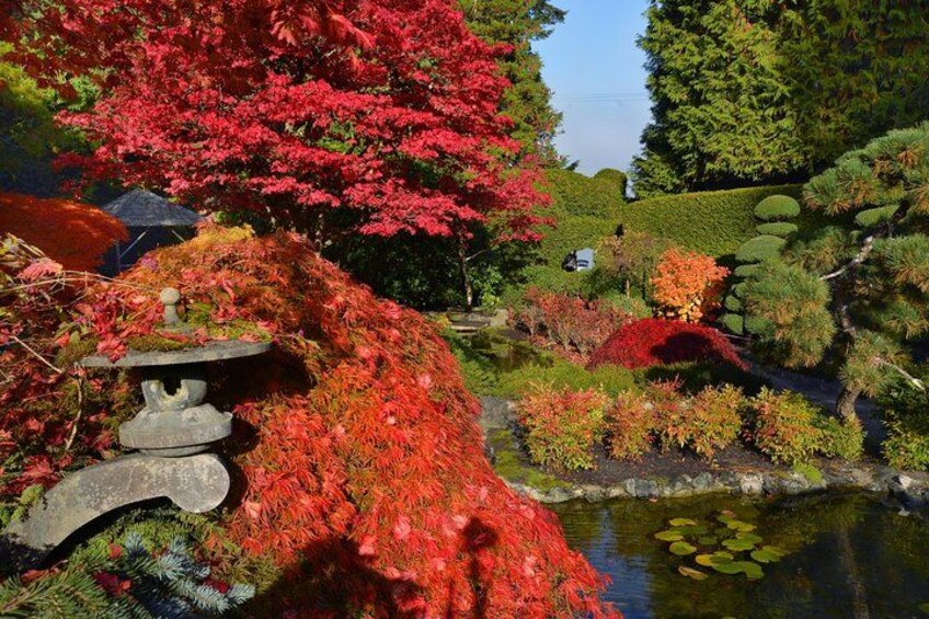 A garden with a stone lantern, red foliage, and a pond with lily pads. 4