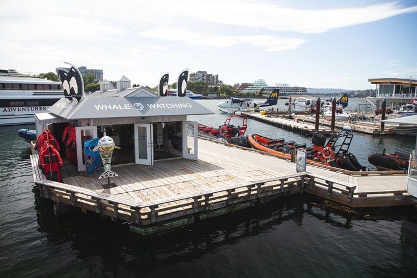 A whale watching station with a dock, a small building, and boats in the background. 3