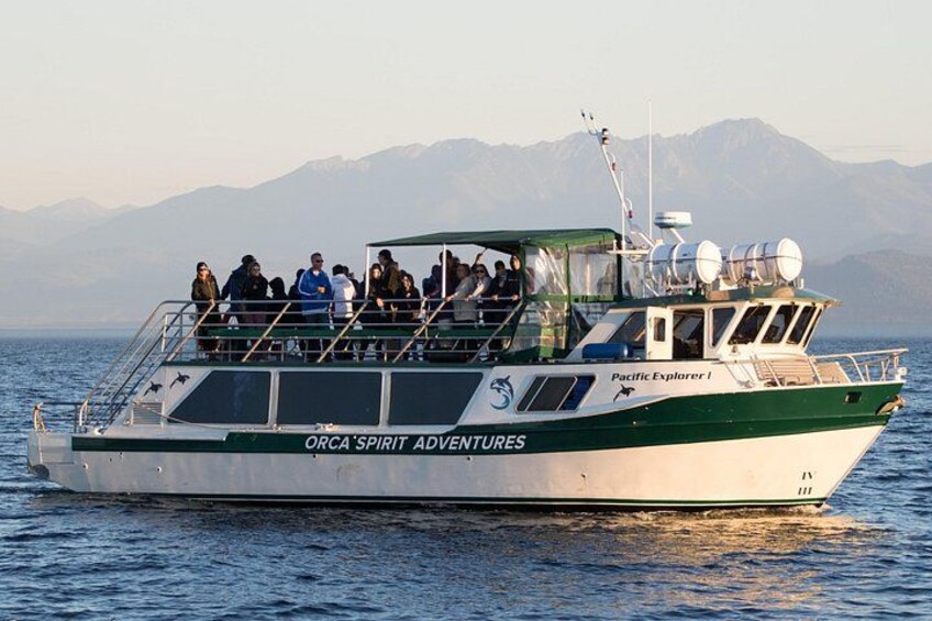 Summer Victoria Whale Watching Tour on a Covered Vessel 2
