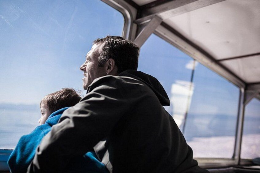 Guests Watching Whales 2