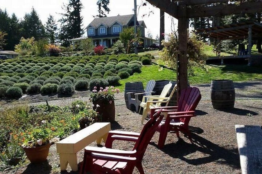 A garden with red and yellow Adirondack chairs, a wooden bench, and a house in the background. 2