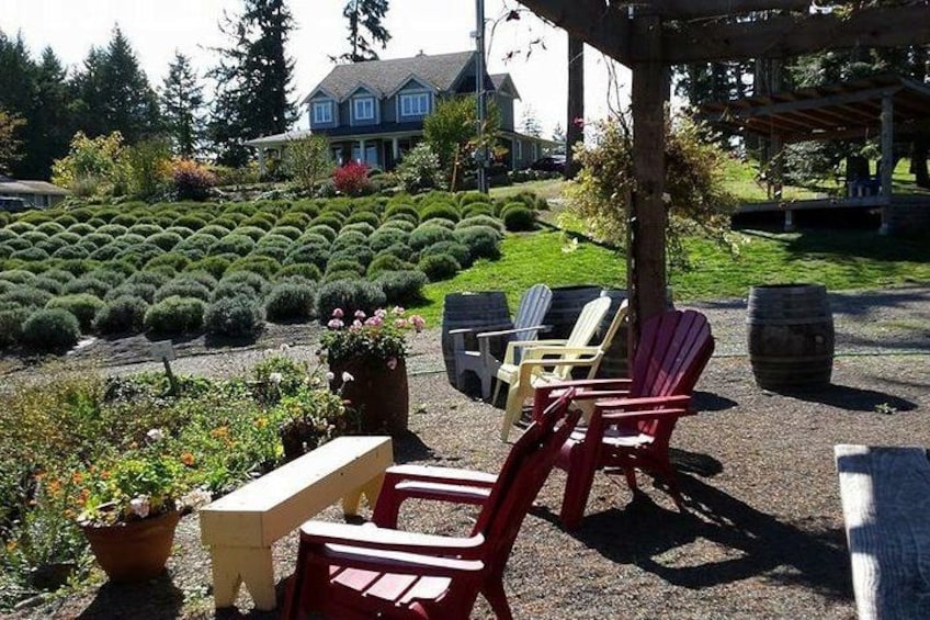 Lavender Farm & Winery 2