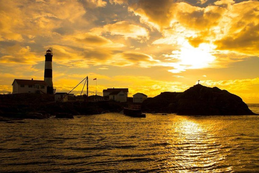 A coastal scene with a lighthouse, buildings, and a rocky outcrop during sunset. 2