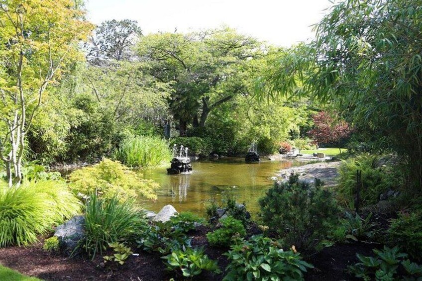 A serene pond surrounded by lush greenery and trees. 2