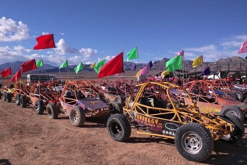 Off-road vehicles lined up in a desert with flags. 3
