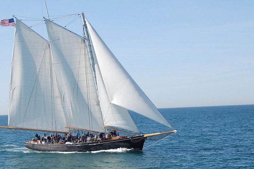 San Diego Whale Watching Cruise and Maritime Museum Entry 3