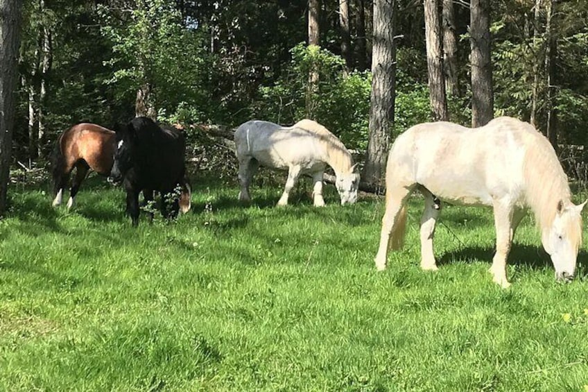 Enjoying life on the farm 2