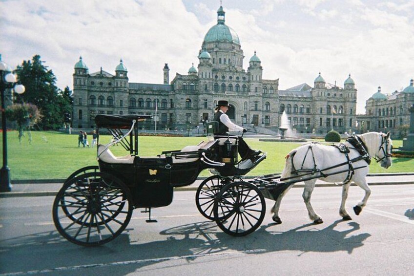 Een paard en wagen met koetsier en passagier voor een groot, historisch gebouw met koepels. 4