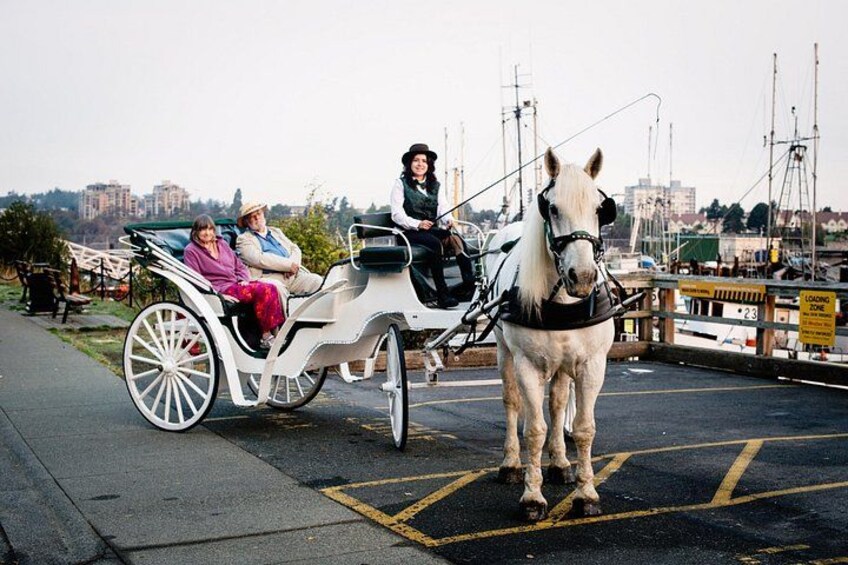 Een paard en wagen met passagiers op een weg nabij een oever. 3