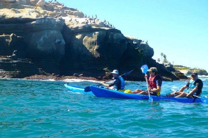 La Jolla Kayaking 3