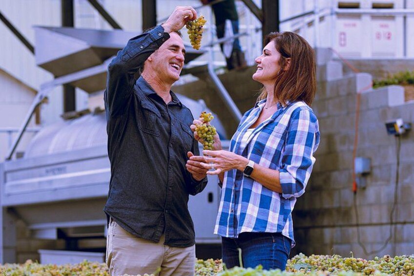Experience all that wine country has to offer in the best way possible. 4