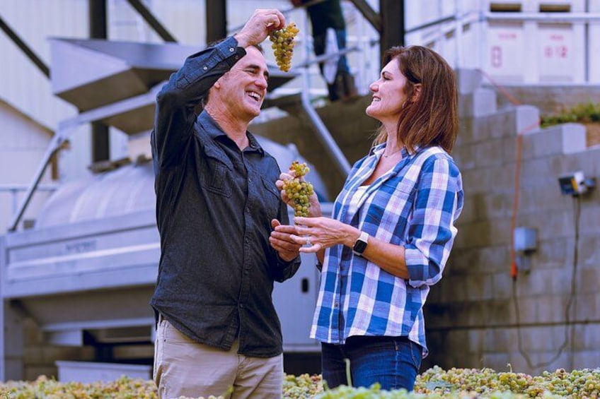 Experience all that wine country has to offer in the best way possible. 2
