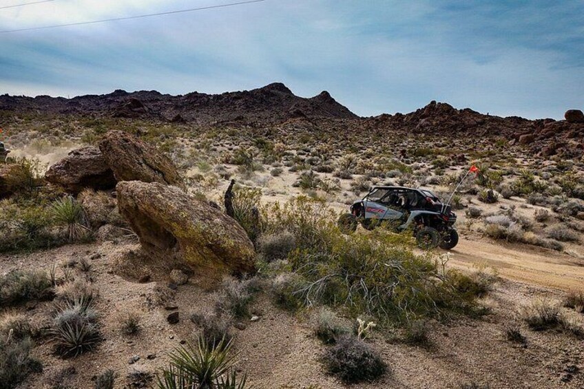 A desert landscape with a vehicle navigating a dirt road, surrounded by sparse vegetation and rocky terrain. 2