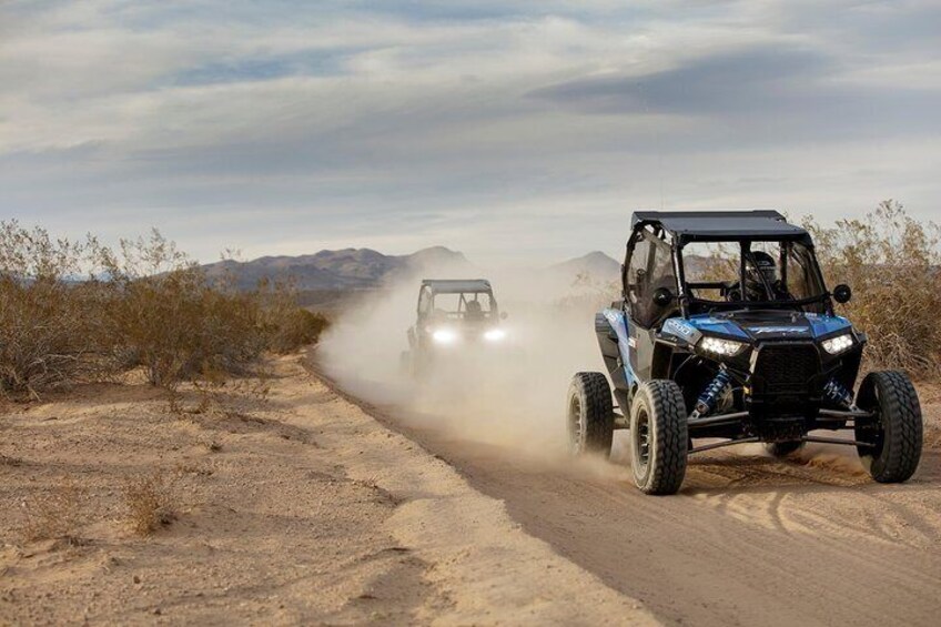 Off Road Mojave Desert Tour in Las Vegas