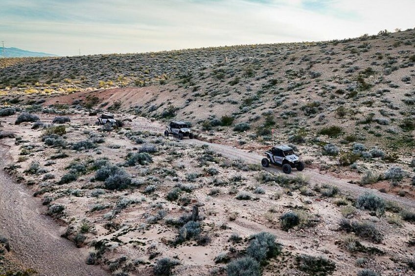 A desert landscape with sparse vegetation and a dirt road. 3