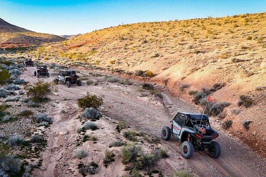 Guided Mojave Desert Off Road RZR Adventure 4